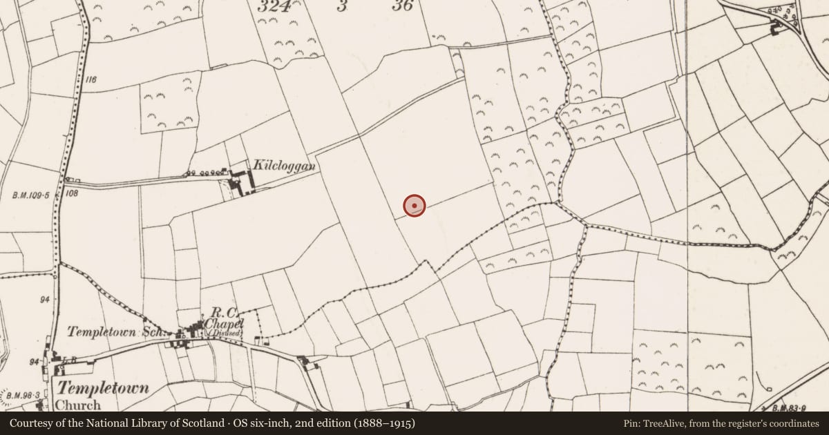Ordnance Survey six-inch map, 2nd edition (1888–1915) covering the location of Ringfort - rath, Kilcloggan, County Wexford, with a pin at the register's coordinates