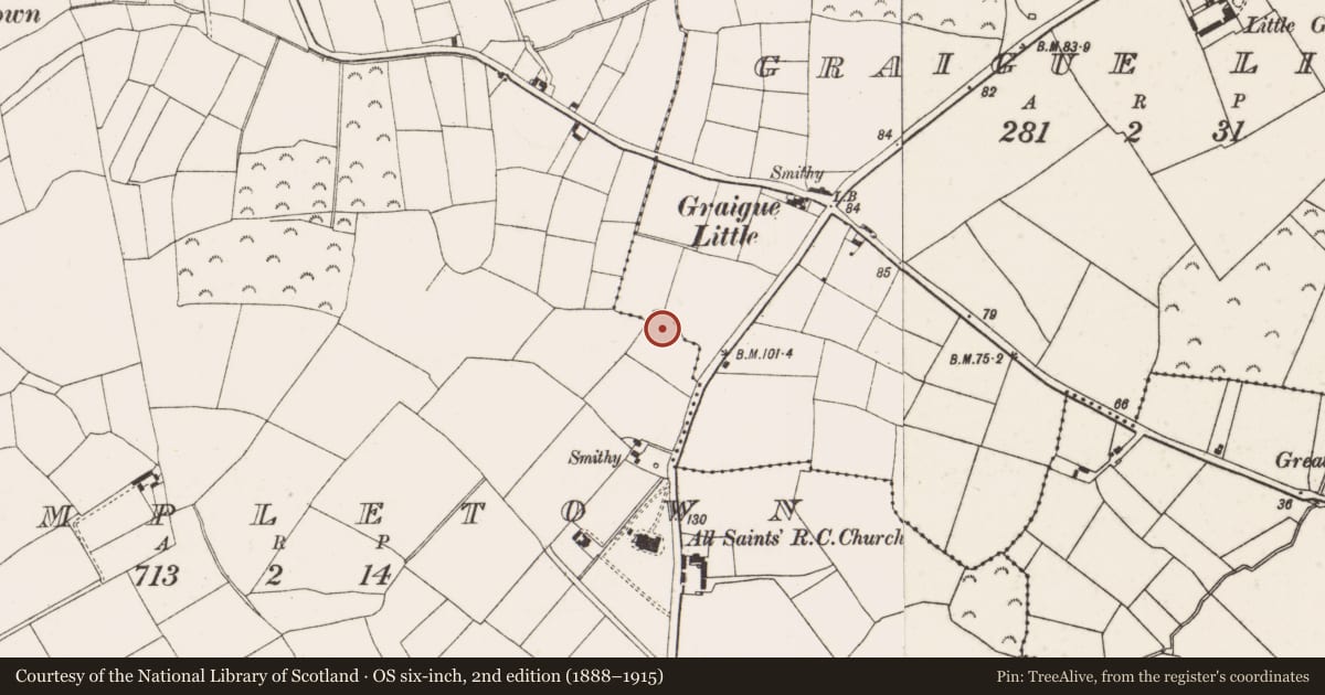 Ordnance Survey six-inch map, 2nd edition (1888–1915) covering the location of Ringfort - rath, Graigue Little, Templetown, County Wexford, with a pin at the register's coordinates