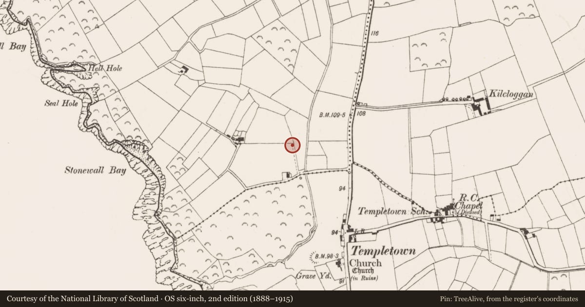 Ordnance Survey six-inch map, 2nd edition (1888–1915) covering the location of Ringfort - rath, Broomhill, County Wexford, with a pin at the register's coordinates
