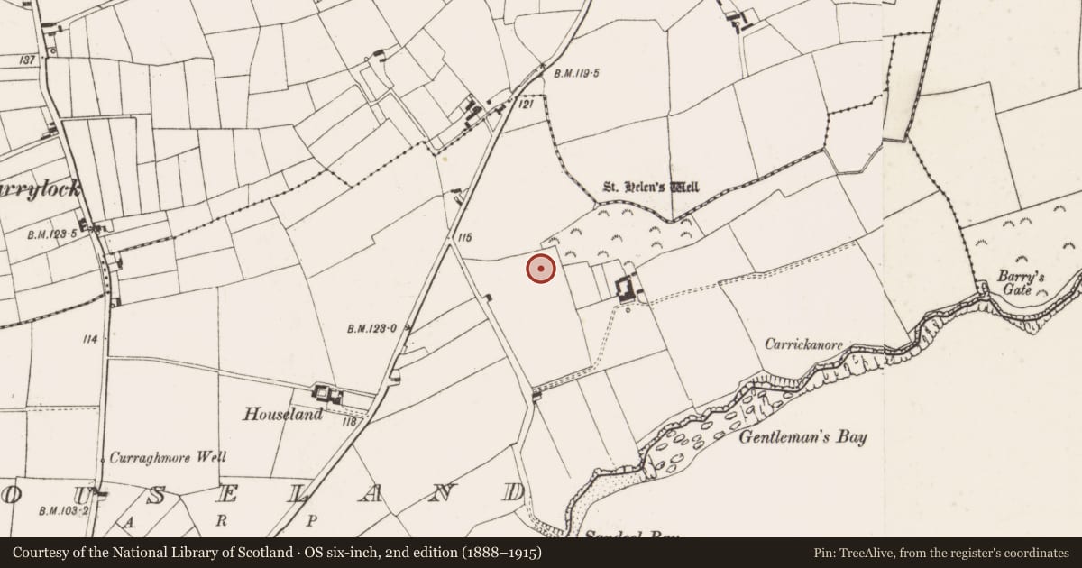 Ordnance Survey six-inch map, 2nd edition (1888–1915) covering the location of Excavation - miscellaneous, Houseland, County Wexford, with a pin at the register's coordinates