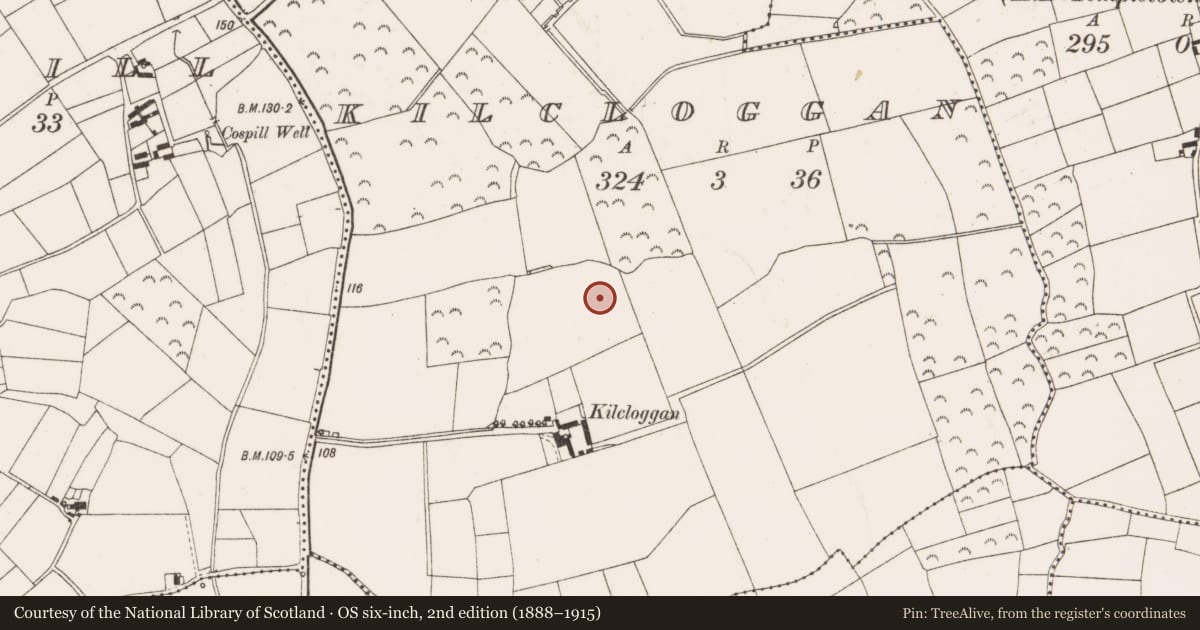 Ordnance Survey six-inch map, 2nd edition (1888–1915) covering the location of Ringfort - rath, Kilcloggan, County Wexford, with a pin at the register's coordinates