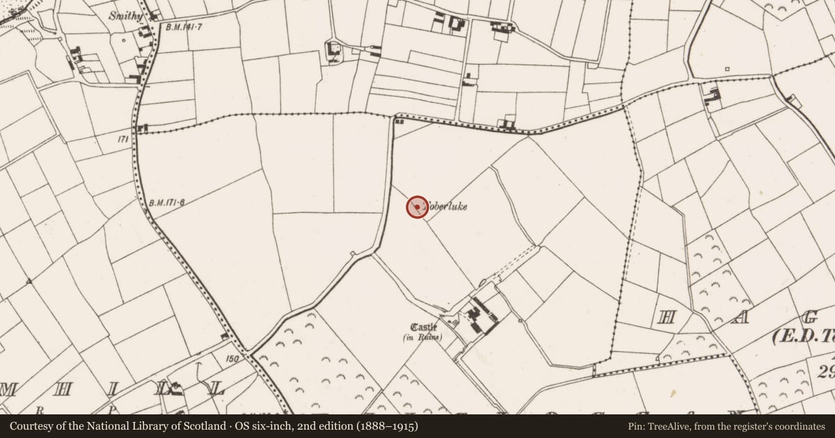 Ordnance Survey six-inch map, 2nd edition (1888–1915) covering the location of Ritual site - holy well, Kilcloggan, County Wexford, with a pin at the register's coordinates