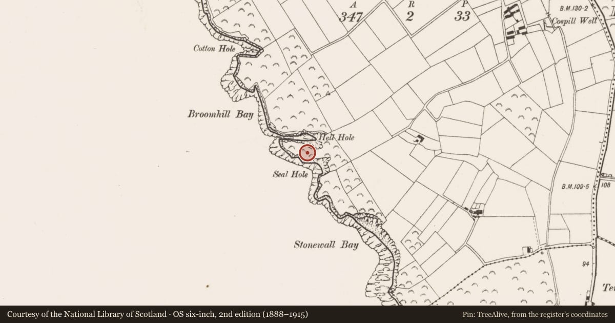 Ordnance Survey six-inch map, 2nd edition (1888–1915) covering the location of Promontory fort - coastal, Broomhill, County Wexford, with a pin at the register's coordinates