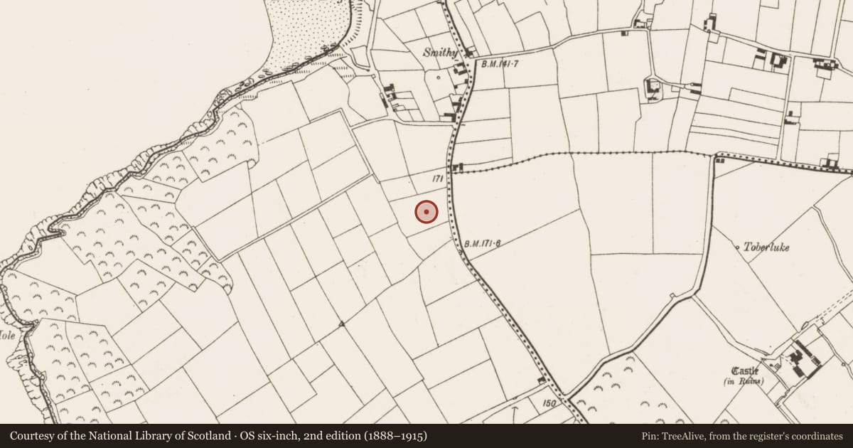 Ordnance Survey six-inch map, 2nd edition (1888–1915) covering the location of Ringfort - rath, Broomhill, County Wexford, with a pin at the register's coordinates