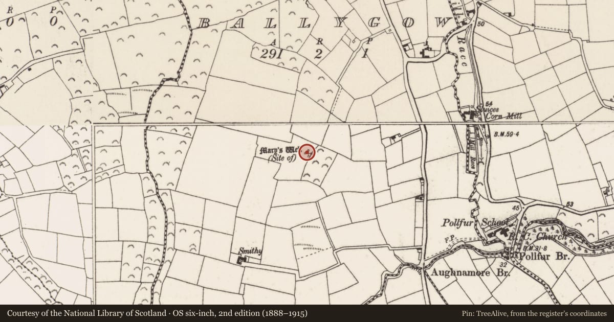 Ordnance Survey six-inch map, 2nd edition (1888–1915) covering the location of Ritual site - holy well, Ballygow, County Wexford, with a pin at the register's coordinates