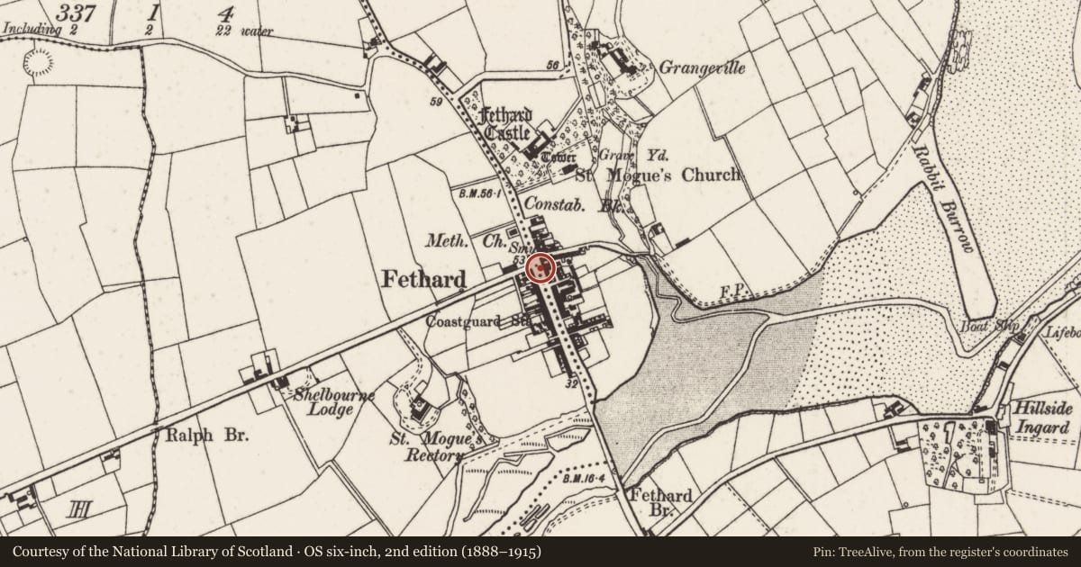 Ordnance Survey six-inch map, 2nd edition (1888–1915) covering the location of Historic town, Fethard, Grange, County Wexford, with a pin at the register's coordinates