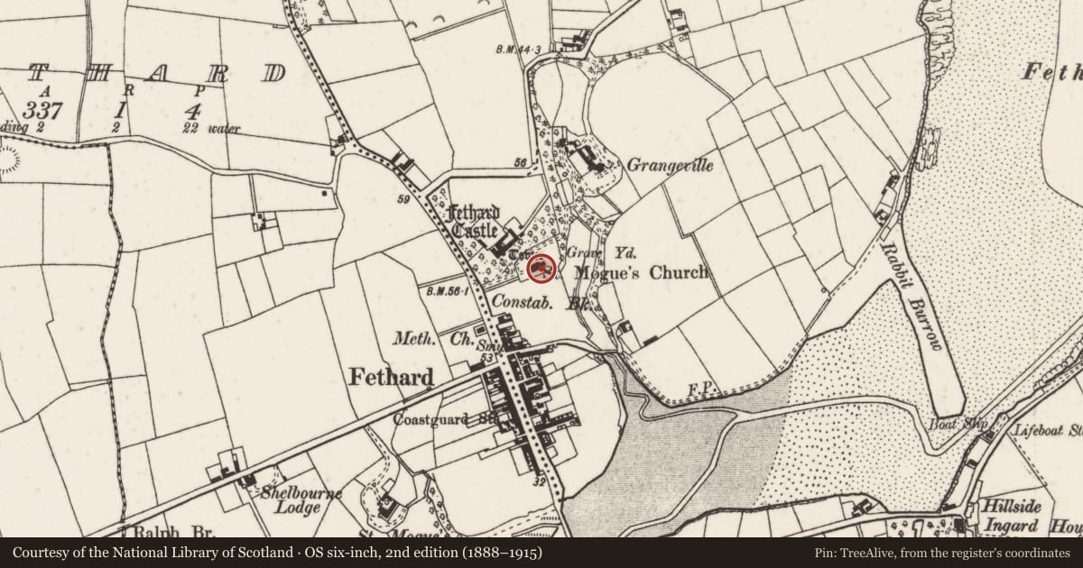 Ordnance Survey six-inch map, 2nd edition (1888–1915) covering the location of Church, Grange, County Wexford, with a pin at the register's coordinates