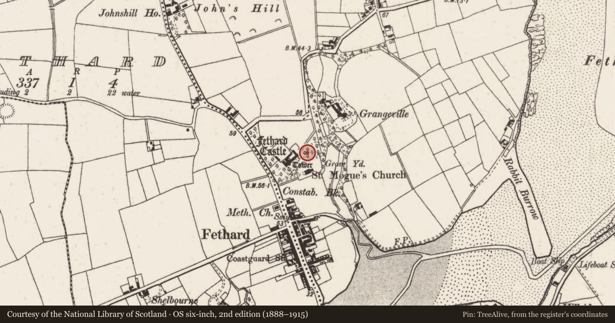 Ordnance Survey six-inch map, 2nd edition (1888–1915) covering the location of Castle - motte, Grange, County Wexford, with a pin at the register's coordinates