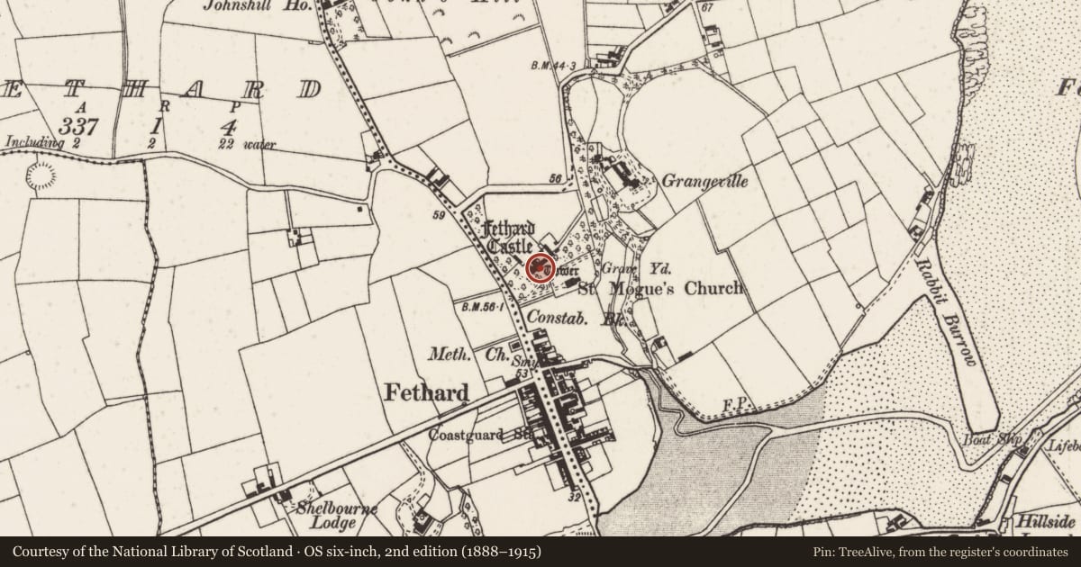 Ordnance Survey six-inch map, 2nd edition (1888–1915) covering the location of Castle - hall-house, Grange, County Wexford, with a pin at the register's coordinates