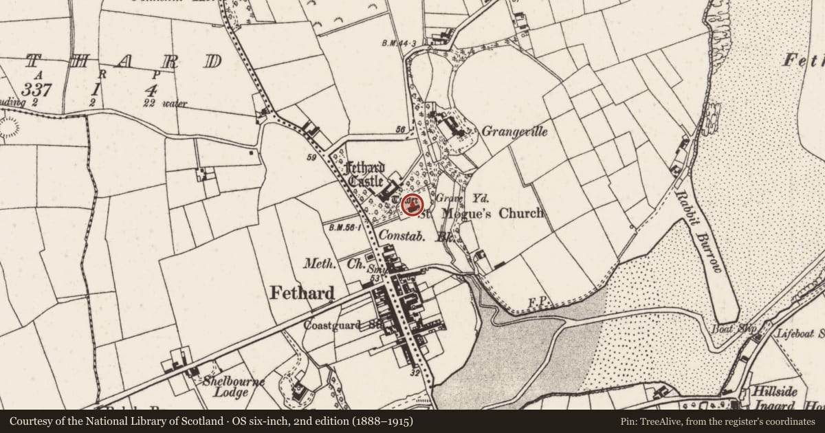 Ordnance Survey six-inch map, 2nd edition (1888–1915) covering the location of Graveyard, Grange, County Wexford, with a pin at the register's coordinates