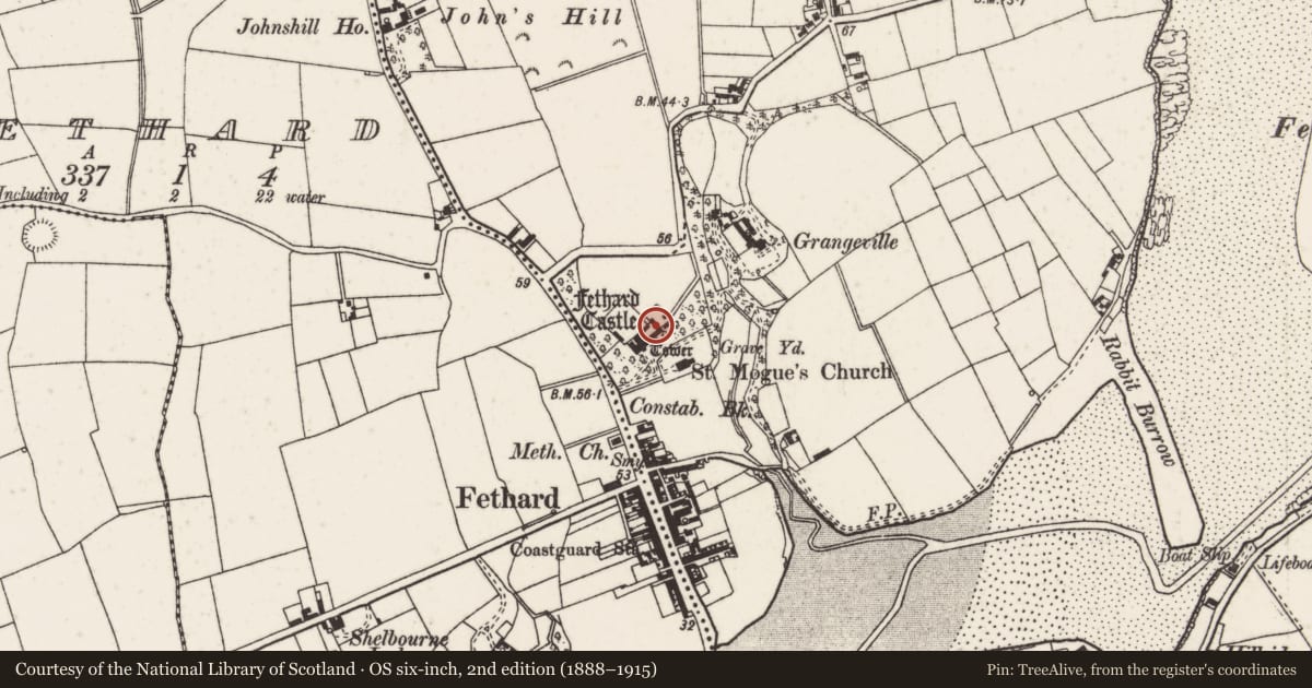 Ordnance Survey six-inch map, 2nd edition (1888–1915) covering the location of Inscribed stone, Grange, County Wexford, with a pin at the register's coordinates