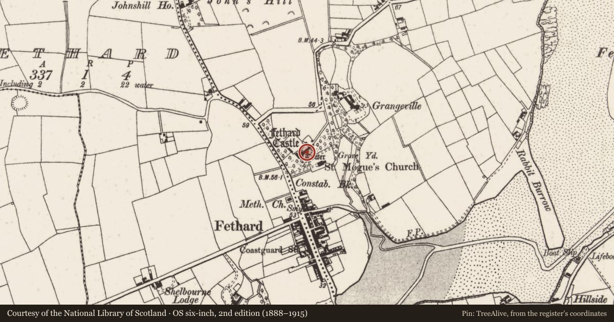 Ordnance Survey six-inch map, 2nd edition (1888–1915) covering the location of Gatehouse, Grange, County Wexford, with a pin at the register's coordinates