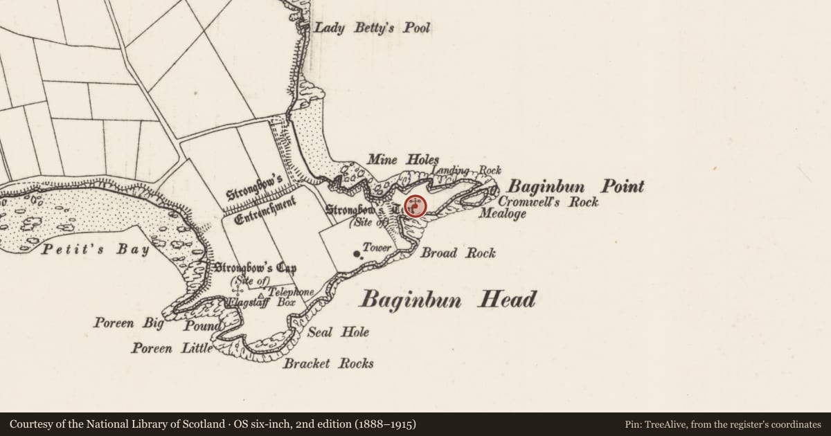 Ordnance Survey six-inch map, 2nd edition (1888–1915) covering the location of Promontory fort - coastal, Ramstown, County Wexford, with a pin at the register's coordinates