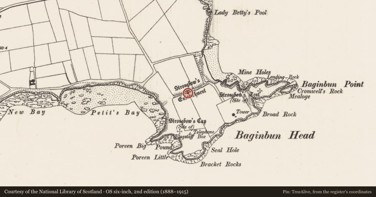 Ordnance Survey six-inch map, 2nd edition (1888–1915) covering the location of Linear earthwork, Ramstown, County Wexford, with a pin at the register's coordinates