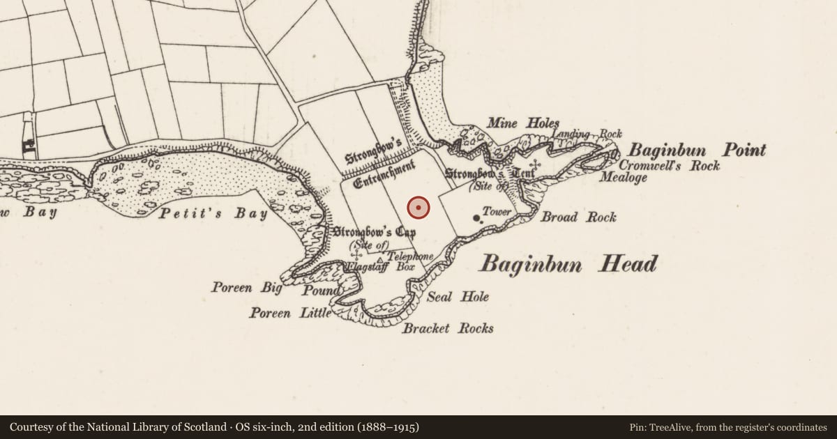 Ordnance Survey six-inch map, 2nd edition (1888–1915) covering the location of Military camp, Ramstown, County Wexford, with a pin at the register's coordinates
