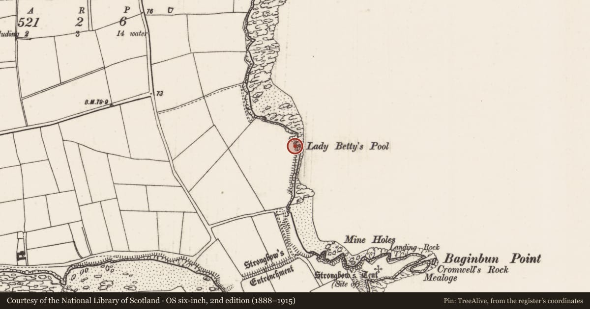 Ordnance Survey six-inch map, 2nd edition (1888–1915) covering the location of Inscribed stone, Ramstown, County Wexford, with a pin at the register's coordinates