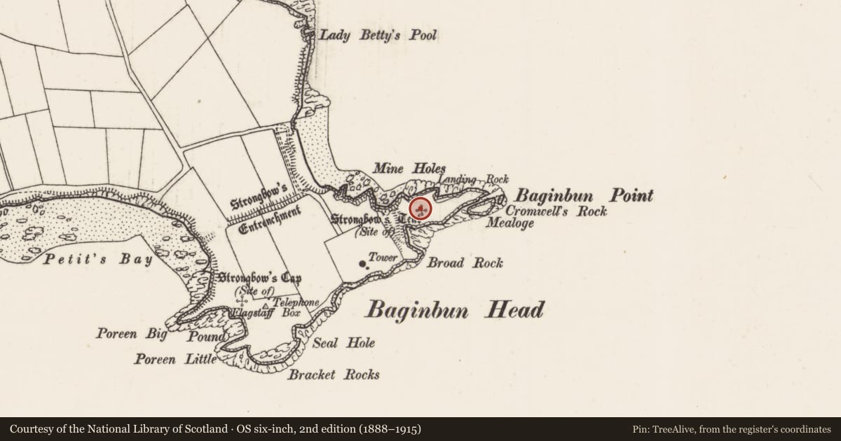 Ordnance Survey six-inch map, 2nd edition (1888–1915) covering the location of Hut site, Ramstown, County Wexford, with a pin at the register's coordinates