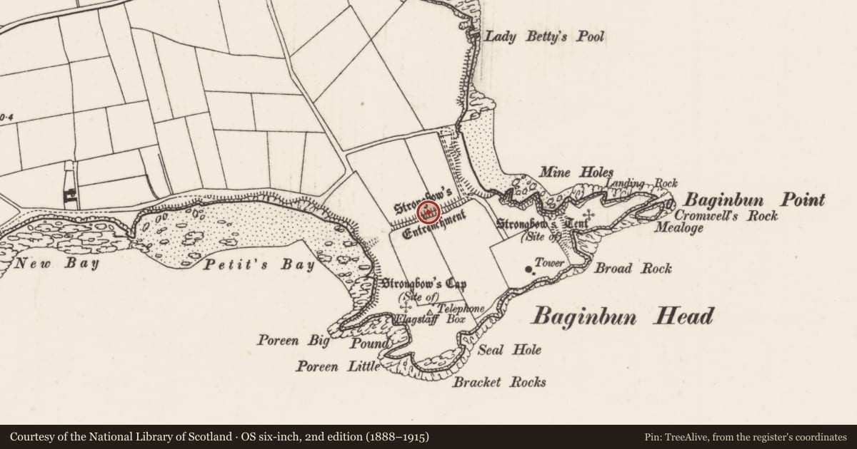 Ordnance Survey six-inch map, 2nd edition (1888–1915) covering the location of Battlefield, Ramstown, County Wexford, with a pin at the register's coordinates