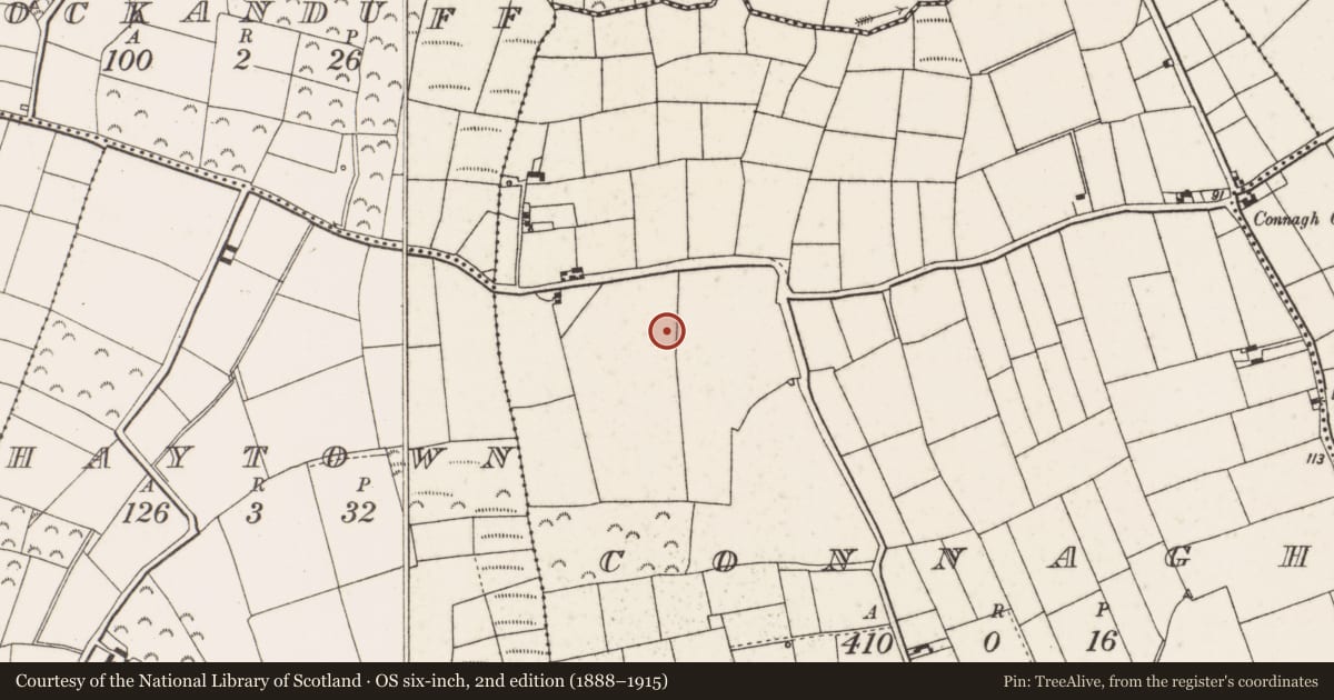 Ordnance Survey six-inch map, 2nd edition (1888–1915) covering the location of Ringfort - rath, Connagh, County Wexford, with a pin at the register's coordinates