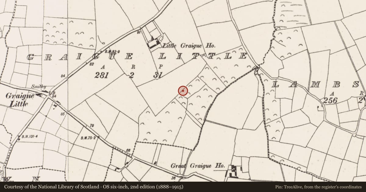 Ordnance Survey six-inch map, 2nd edition (1888–1915) covering the location of Ringfort - rath, Graigue Little, County Wexford, with a pin at the register's coordinates