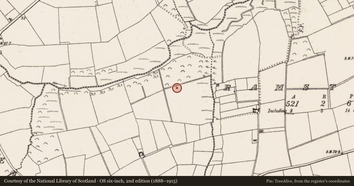 Ordnance Survey six-inch map, 2nd edition (1888–1915) covering the location of Ringfort - rath, Lambstown, County Wexford, with a pin at the register's coordinates