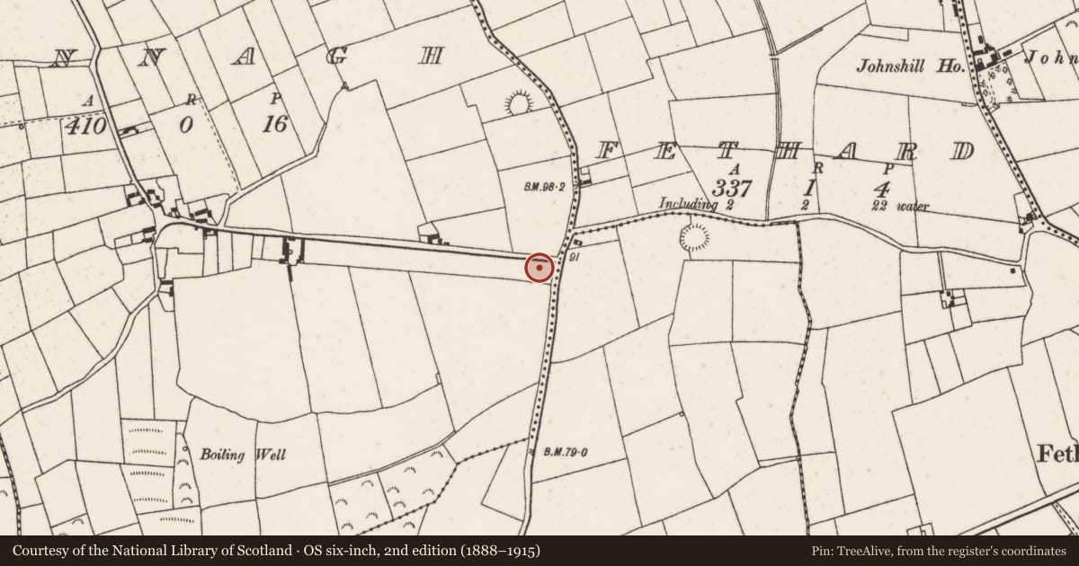 Ordnance Survey six-inch map, 2nd edition (1888–1915) covering the location of Moated site, Connagh, County Wexford, with a pin at the register's coordinates