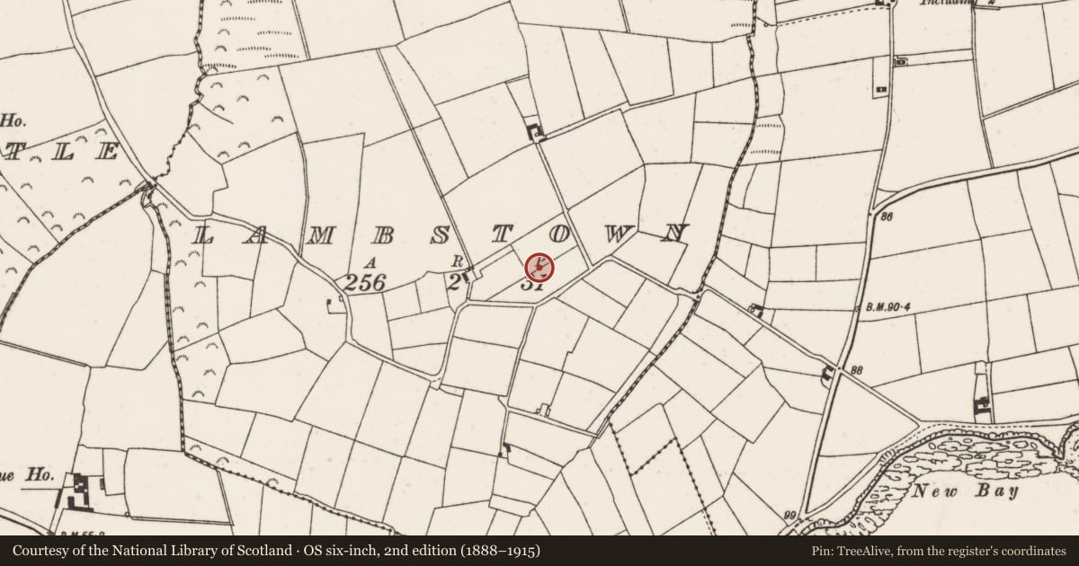 Ordnance Survey six-inch map, 2nd edition (1888–1915) covering the location of Enclosure, Lambstown, County Wexford, with a pin at the register's coordinates