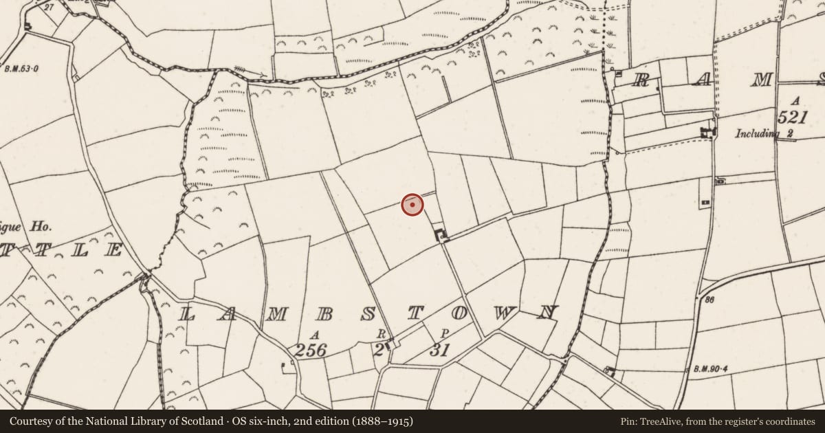Ordnance Survey six-inch map, 2nd edition (1888–1915) covering the location of Ringfort - rath, Lambstown, County Wexford, with a pin at the register's coordinates