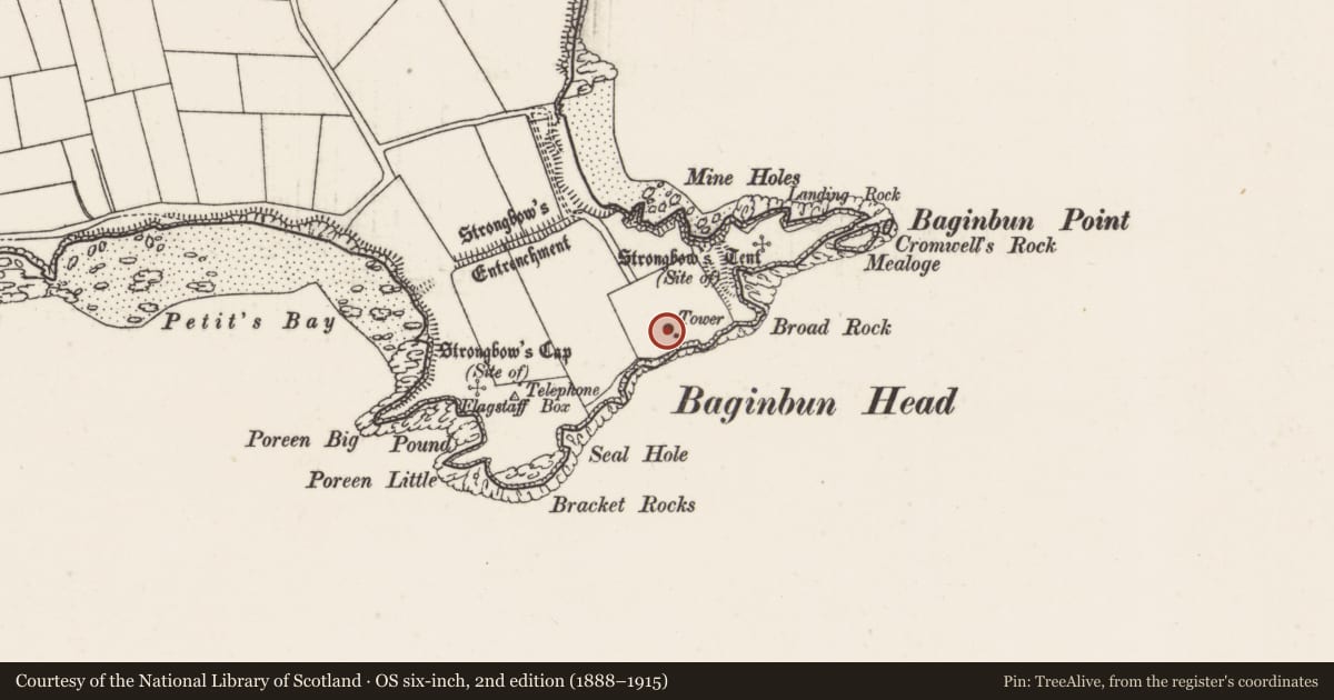 Ordnance Survey six-inch map, 2nd edition (1888–1915) covering the location of Martello tower, Ramstown, County Wexford, with a pin at the register's coordinates