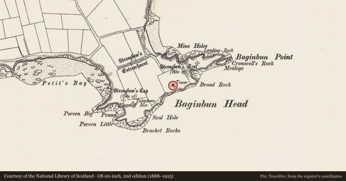 Ordnance Survey six-inch map, 2nd edition (1888–1915) covering the location of Signal tower, Ramstown, County Wexford, with a pin at the register's coordinates