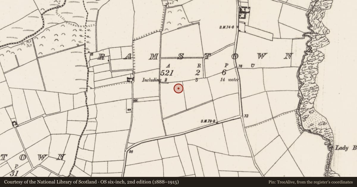 Ordnance Survey six-inch map, 2nd edition (1888–1915) covering the location of Enclosure, Ramstown, County Wexford, with a pin at the register's coordinates