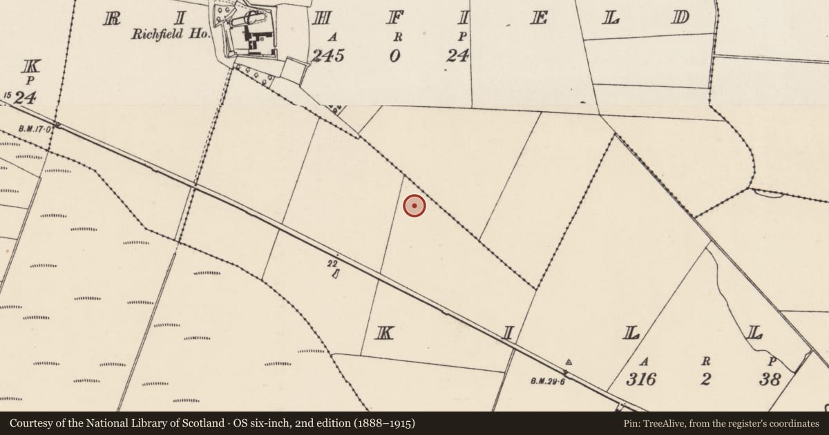 Ordnance Survey six-inch map, 2nd edition (1888–1915) covering the location of Ringfort - rath, Killag, County Wexford, with a pin at the register's coordinates