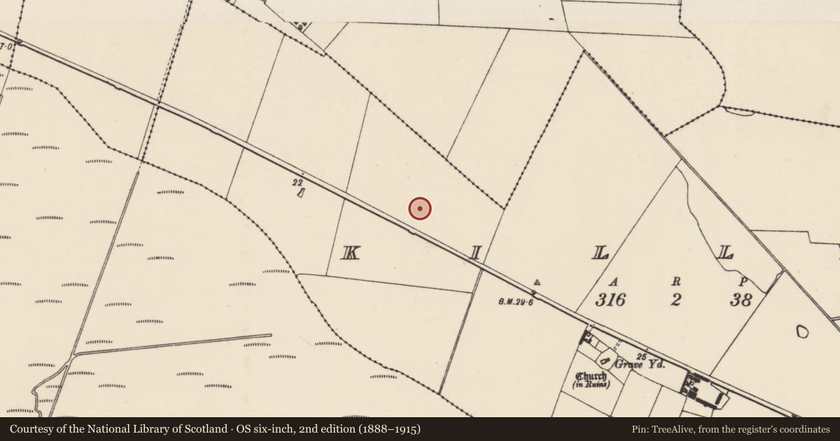 Ordnance Survey six-inch map, 2nd edition (1888–1915) covering the location of Ringfort - rath, Killag, County Wexford, with a pin at the register's coordinates