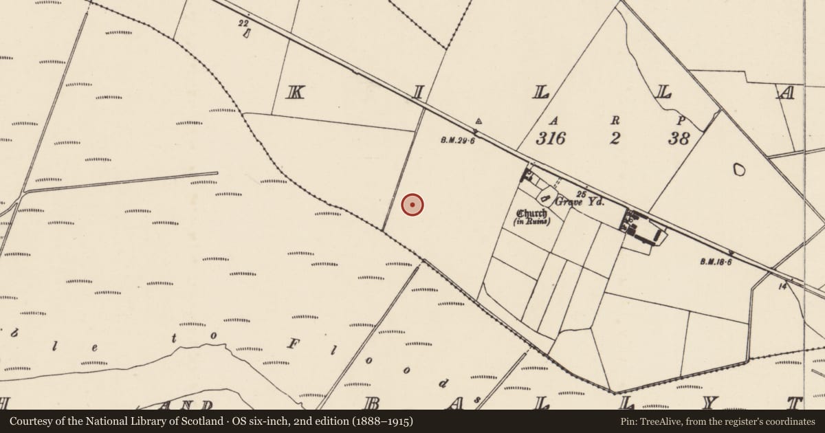 Ordnance Survey six-inch map, 2nd edition (1888–1915) covering the location of Ring-ditch, Killag, County Wexford, with a pin at the register's coordinates