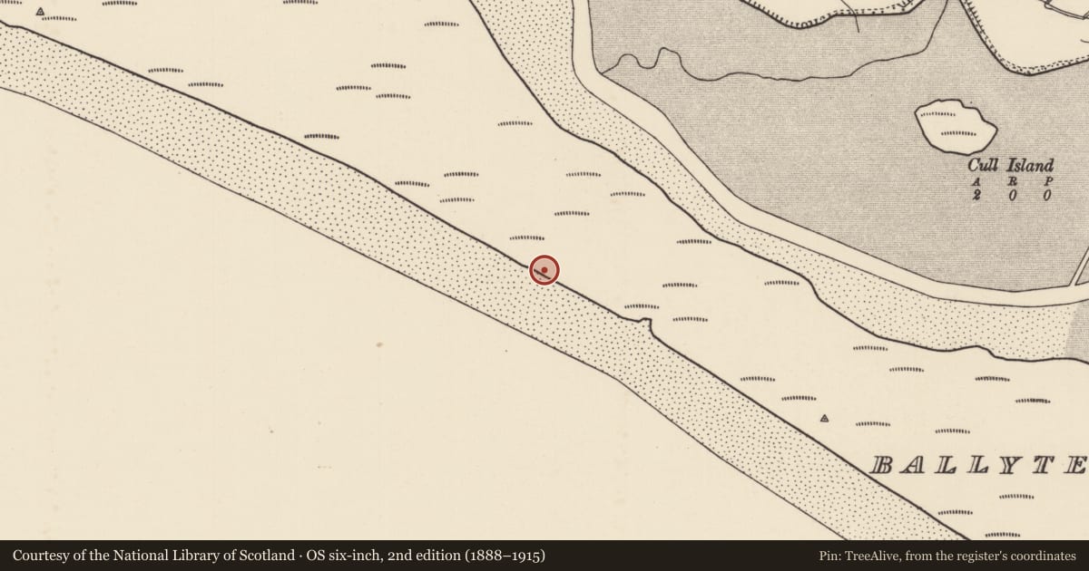 Ordnance Survey six-inch map, 2nd edition (1888–1915) covering the location of Burial, Ballyteige Burrow, County Wexford, with a pin at the register's coordinates