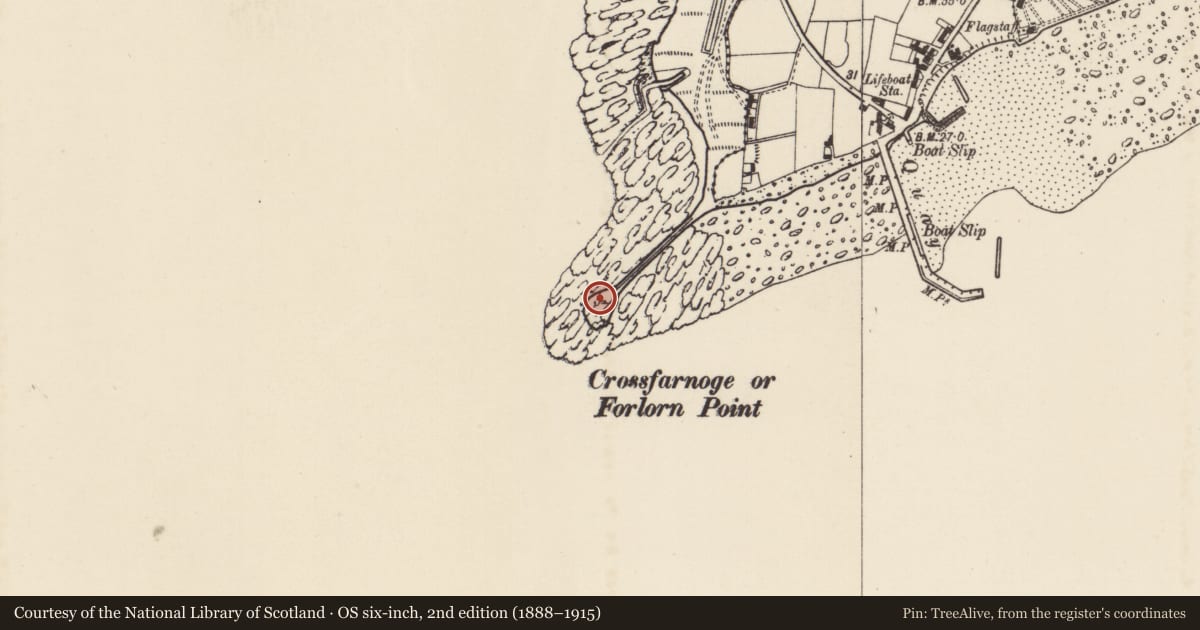 Ordnance Survey six-inch map, 2nd edition (1888–1915) covering the location of Burial, Ballyteige Burrow, County Wexford, with a pin at the register's coordinates