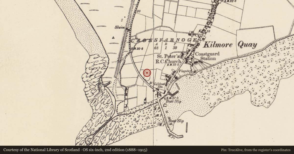 Ordnance Survey six-inch map, 2nd edition (1888–1915) covering the location of Signal tower, Crossfarnogue, County Wexford, with a pin at the register's coordinates
