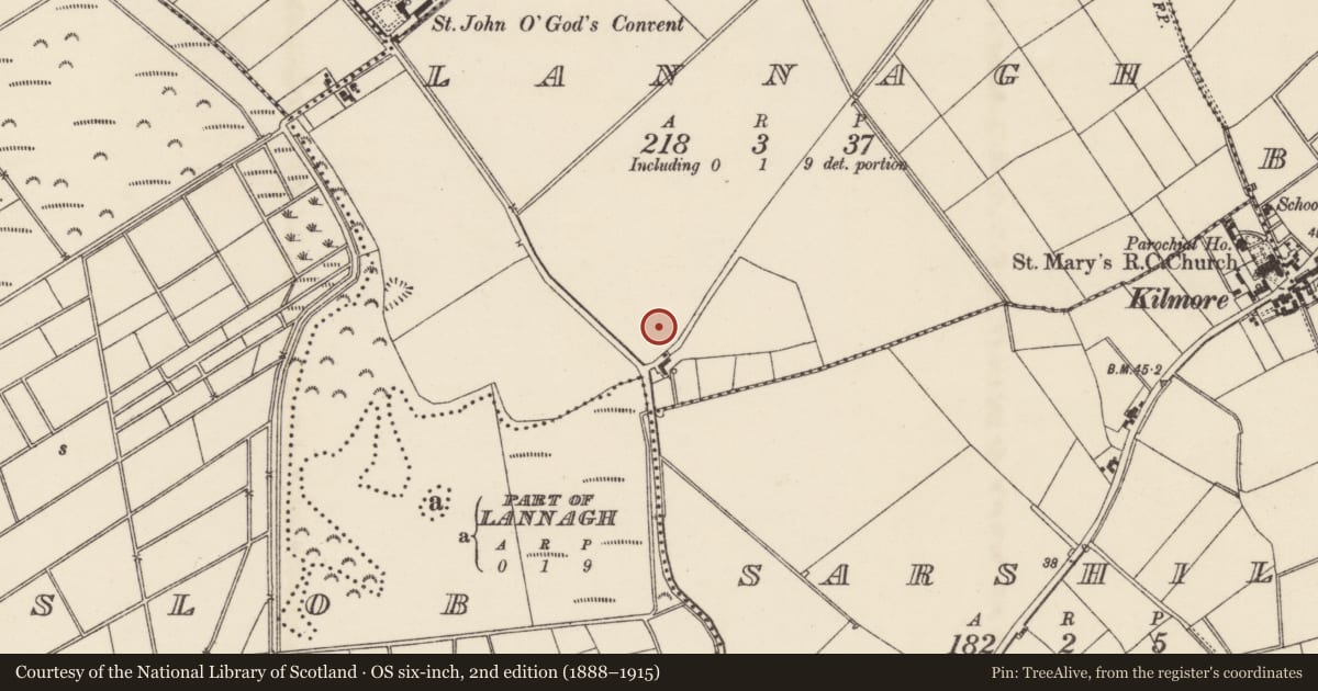 Ordnance Survey six-inch map, 2nd edition (1888–1915) covering the location of Enclosure, Lannagh, County Wexford, with a pin at the register's coordinates