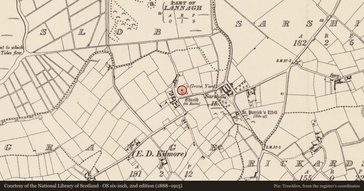 Ordnance Survey six-inch map, 2nd edition (1888–1915) covering the location of Graveyard, Grange, County Wexford, with a pin at the register's coordinates
