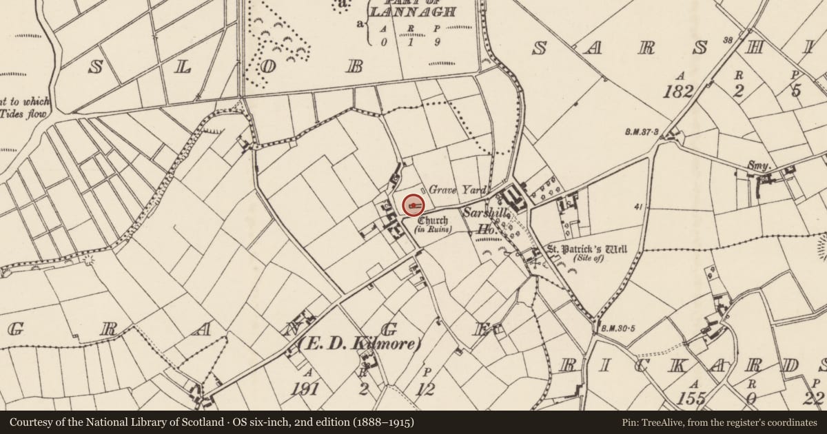 Ordnance Survey six-inch map, 2nd edition (1888–1915) covering the location of Graveslab, Grange, County Wexford, with a pin at the register's coordinates