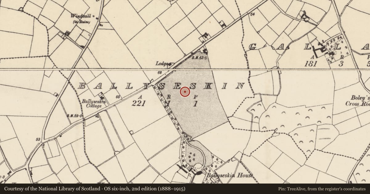 Ordnance Survey six-inch map, 2nd edition (1888–1915) covering the location of Ringfort - rath, Ballyseskin, County Wexford, with a pin at the register's coordinates