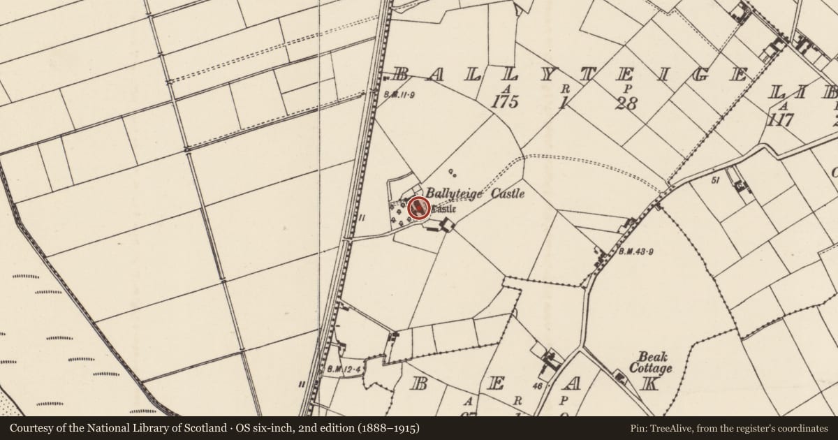 Ordnance Survey six-inch map, 2nd edition (1888–1915) covering the location of Castle - tower house, Ballyteige, County Wexford, with a pin at the register's coordinates