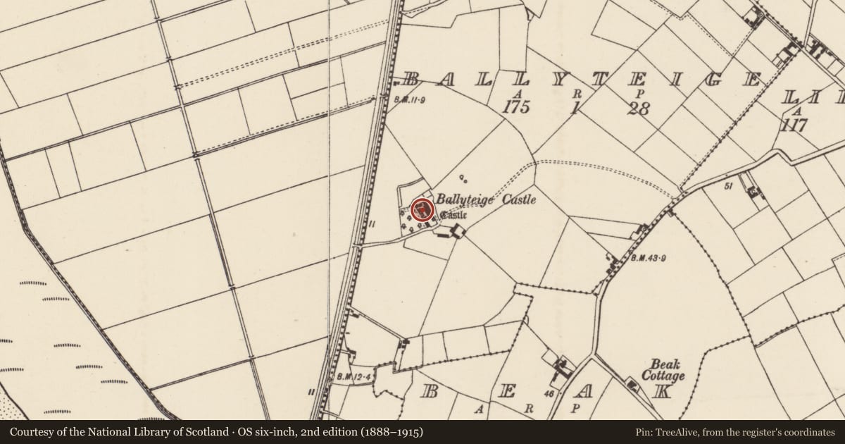 Ordnance Survey six-inch map, 2nd edition (1888–1915) covering the location of Bawn, Ballyteige, County Wexford, with a pin at the register's coordinates