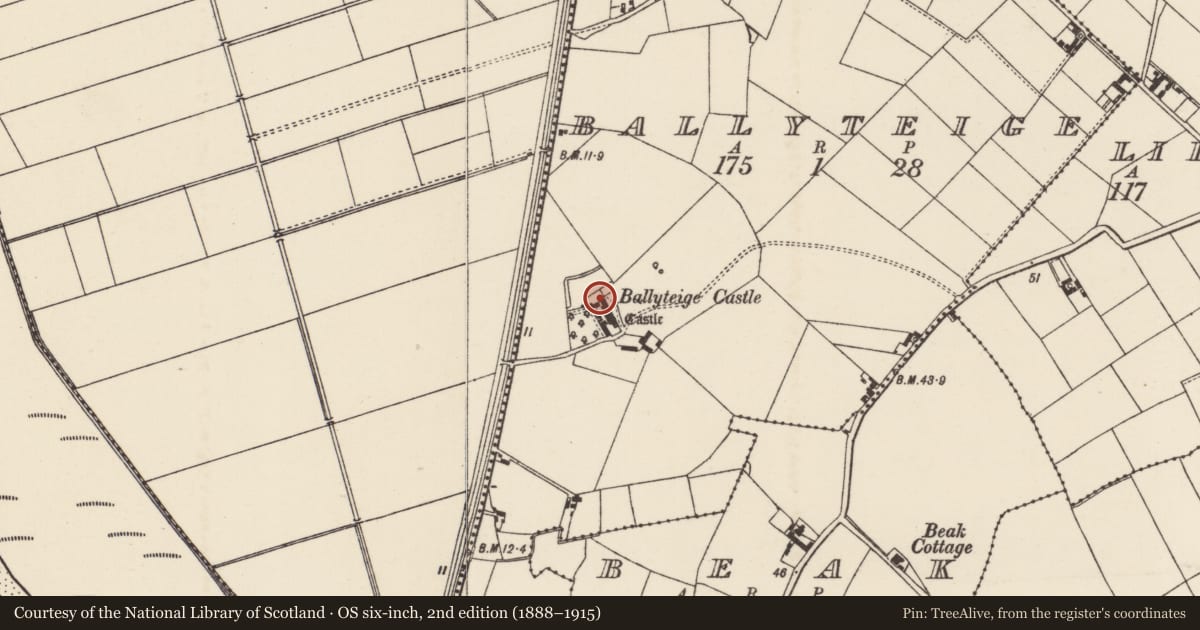 Ordnance Survey six-inch map, 2nd edition (1888–1915) covering the location of Well, Ballyteige, County Wexford, with a pin at the register's coordinates