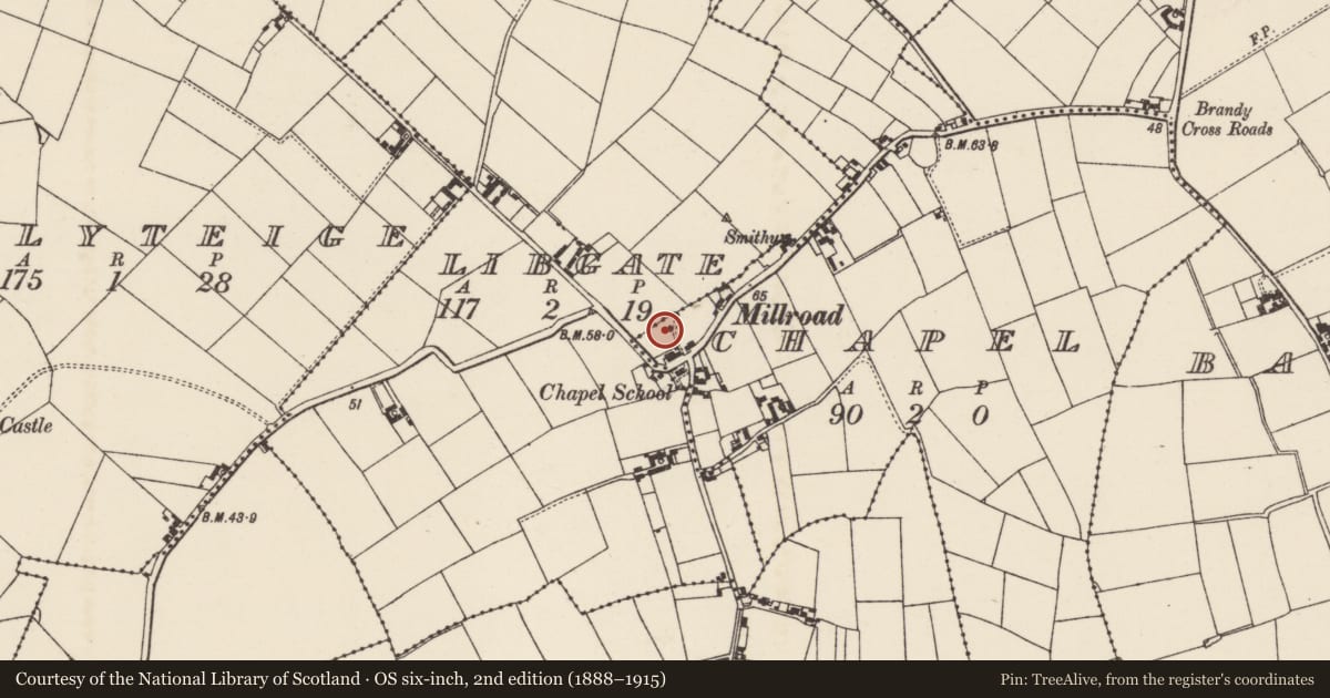 Ordnance Survey six-inch map, 2nd edition (1888–1915) covering the location of Windmill, Chapel, County Wexford, with a pin at the register's coordinates