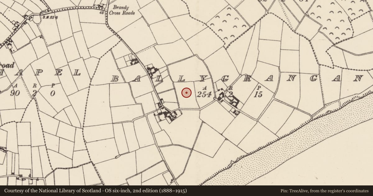 Ordnance Survey six-inch map, 2nd edition (1888–1915) covering the location of Burnt mound, Ballygrangans, County Wexford, with a pin at the register's coordinates