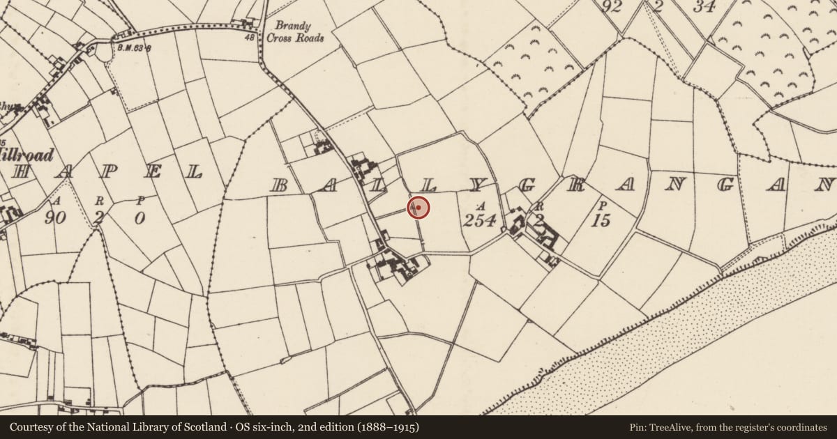 Ordnance Survey six-inch map, 2nd edition (1888–1915) covering the location of Burnt mound, Ballygrangans, County Wexford, with a pin at the register's coordinates