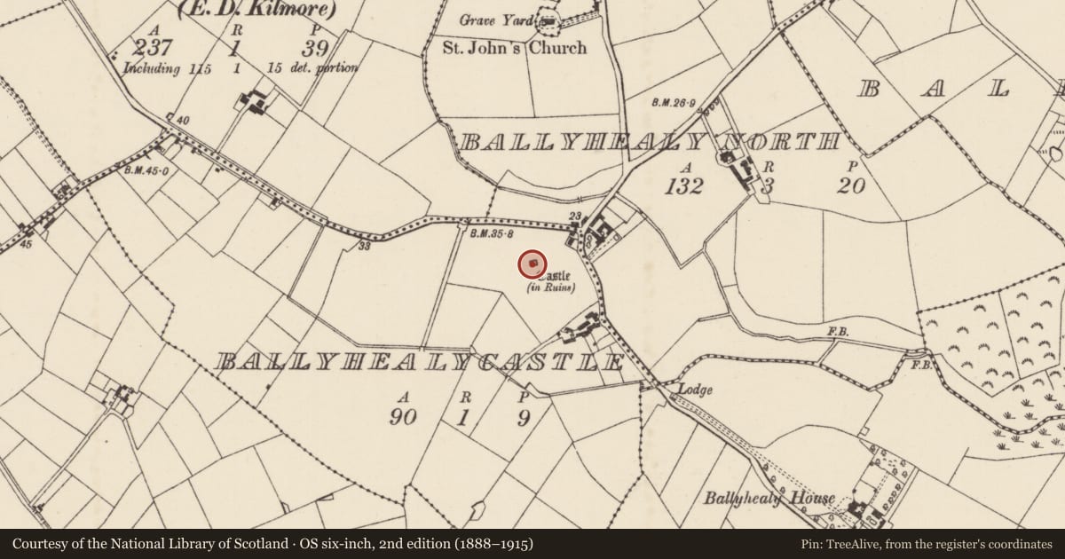 Ordnance Survey six-inch map, 2nd edition (1888–1915) covering the location of Castle - tower house, Ballyhealy Castle, County Wexford, with a pin at the register's coordinates