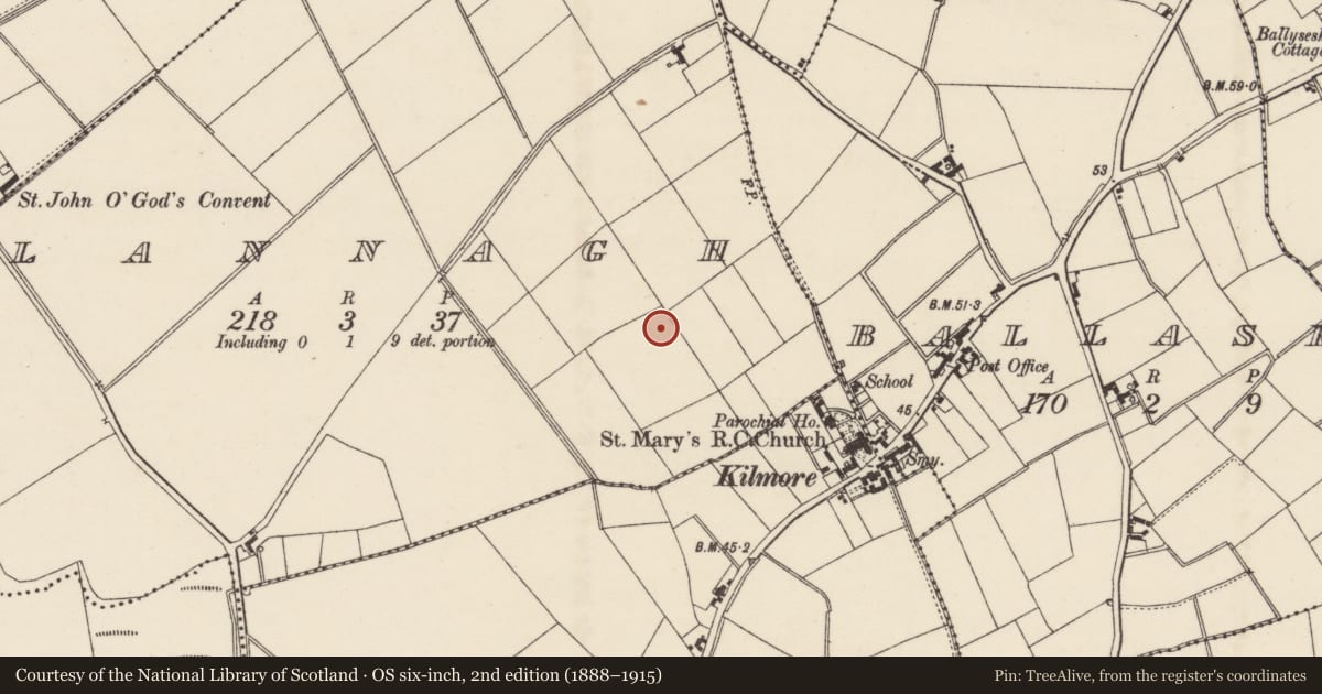 Ordnance Survey six-inch map, 2nd edition (1888–1915) covering the location of Ringfort - rath, Lannagh, County Wexford, with a pin at the register's coordinates