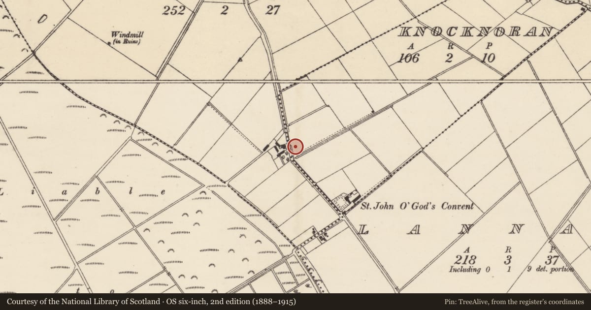 Ordnance Survey six-inch map, 2nd edition (1888–1915) covering the location of Moated site, Knocknoran, County Wexford, with a pin at the register's coordinates